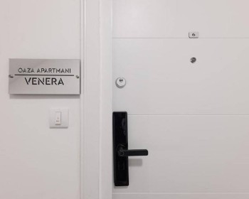 venera-1